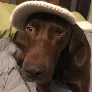 Meet your Posher, Stacey